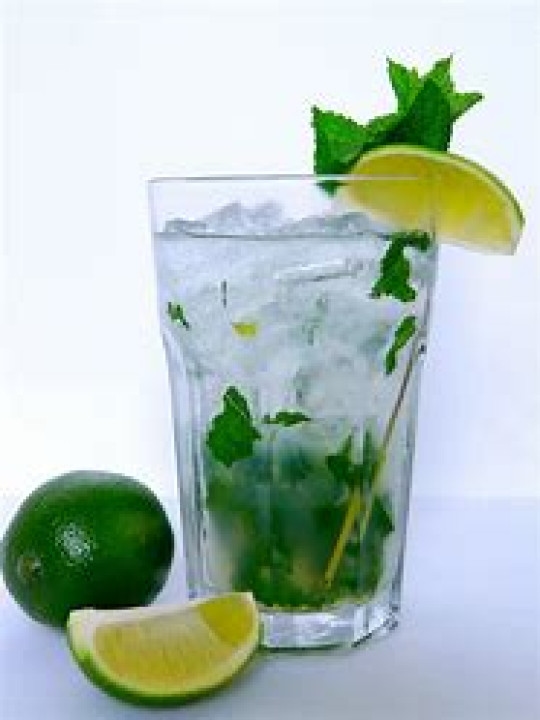 Mint Lemon Mojito