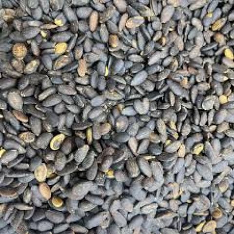 بزر أسود غامق 600 غرام