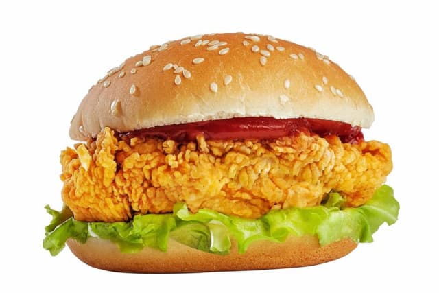 Mr. Spicy Burger (spicy) Menu